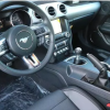 Mustang 5