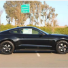 Mustang 3