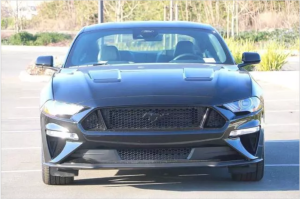 Mustang 2